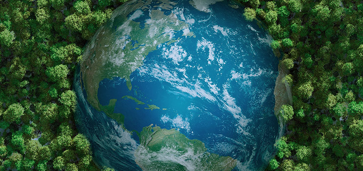O Coloray participa ativamente da causa de proteção ambiental global.